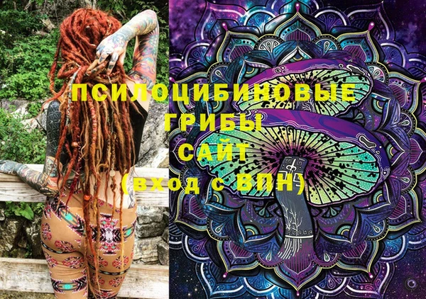 шишки Балахна