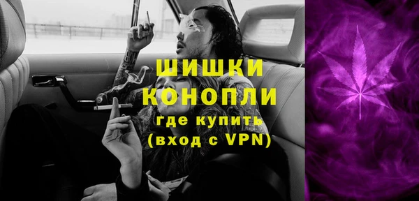 первитин Богданович