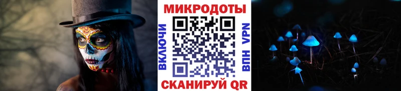 Псилоцибиновые грибы прущие грибы  Дигора 